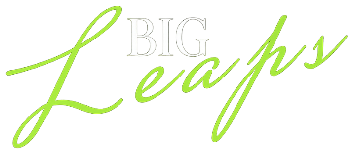 BigLeaps Consulting